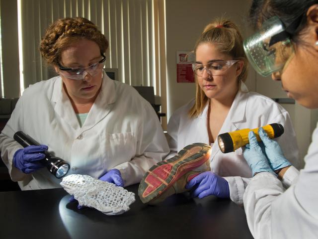 Forensics students examining evidence